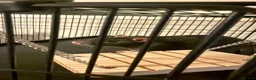 Rat rodents for sale: Three Male Rats in Exeter - Advert 2