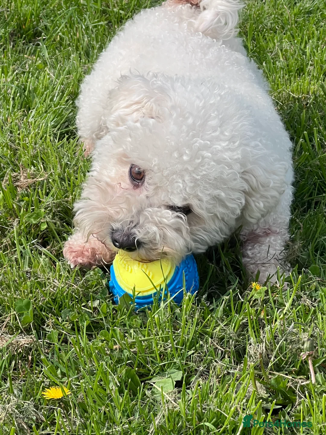 Gallery Image {{count}}