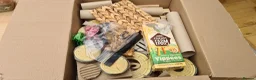 Hamster rodents for sale: Winter White dwarf hamster with cage and supplies in Dartford - Advert 21
