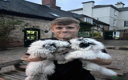Toy Poodle dogs for stud: Stunning playful Parti Toy Poodle at Stud in Cannock - Image 16