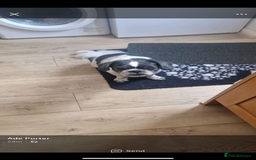 Shih Tzu dogs for sale: 8 year old buddy for rehoming  - Image 2