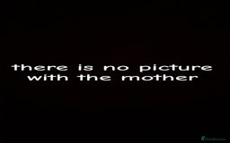 Miniature Dachshund dogs for sale: Female full breed Miniature dachshund - Advert 5