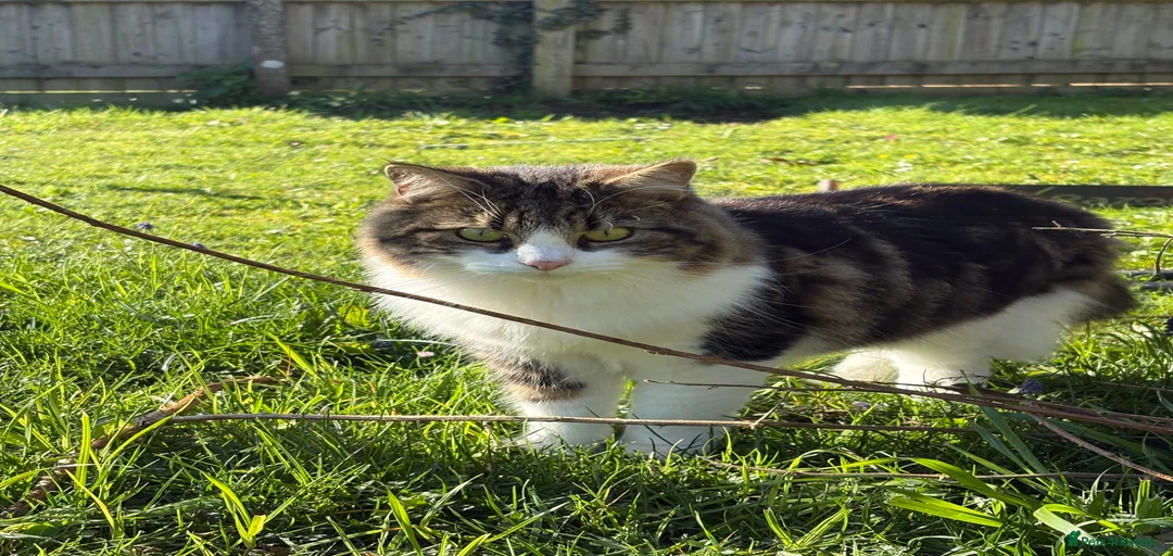 Gallery Image {{count}}