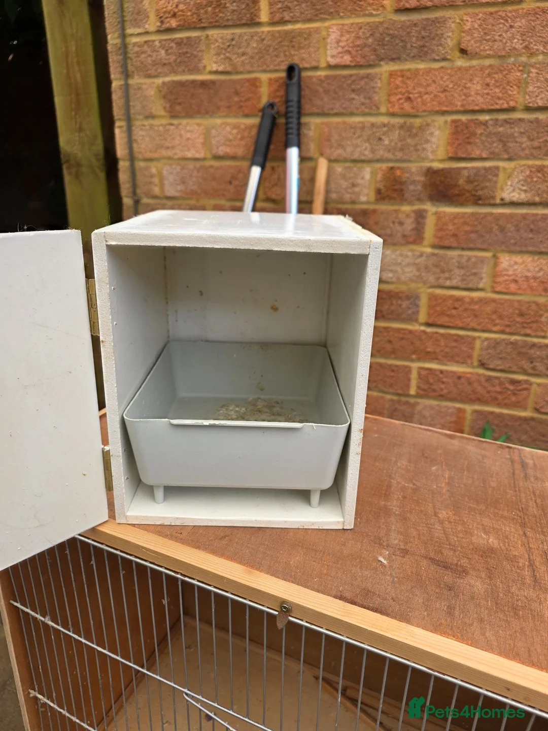 Budgerigars birds for sale: Wooden Budgie Breeding cages - Advert 4