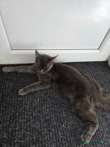 Gallery Image {{count}}