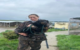 Mixed Breed dogs for adoption: Paige - Norwich Norfolk  - Image 25