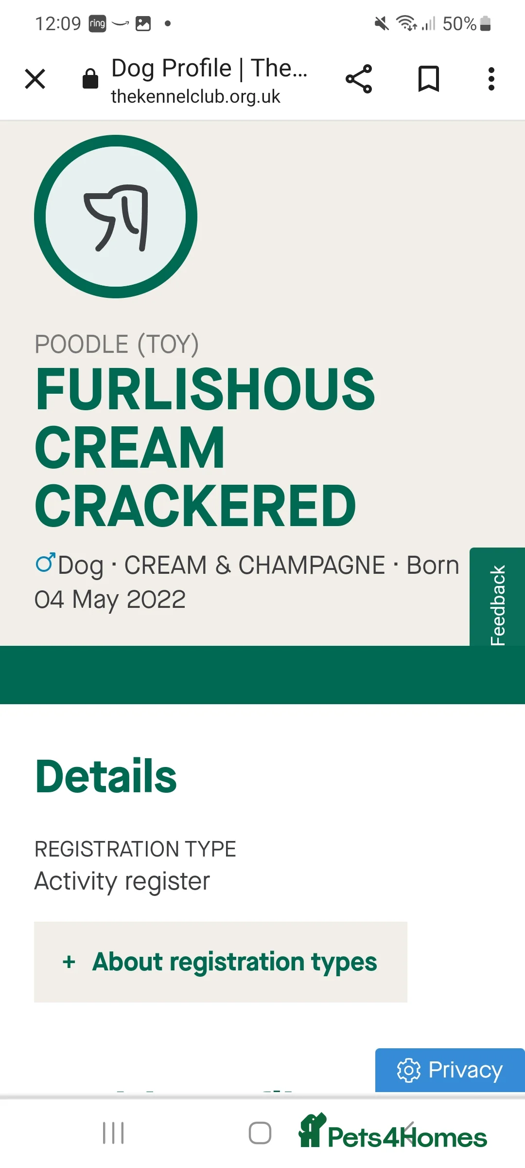 Toy Poodle dogs for stud: Proven, pra clear, kc reg Merle toy poodle  in Manchester - Advert 7