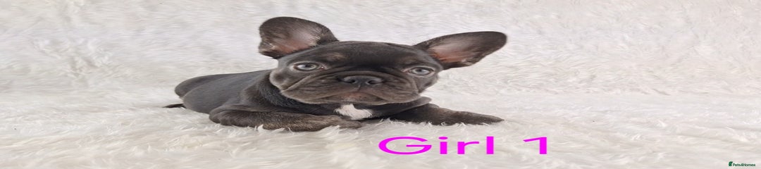 🩷 Girl 1 🩷