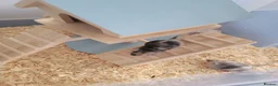 Mouse rodents for sale: Mice for sale  - Advert 1