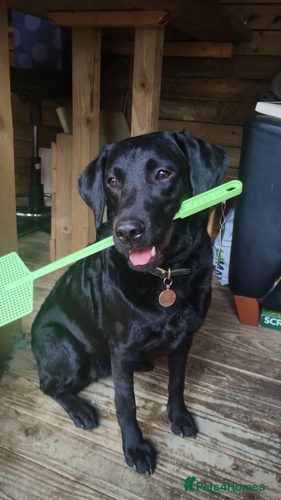 Gallery Image {{count}}