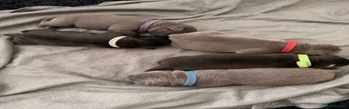 RED COLLAR, Blue female 