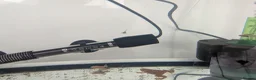Frog reptiles for sale: African clawed froglets - Advert 7