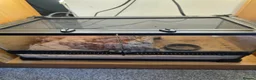 Other/Mixed Breed fish for sale: Dart frogs,puffer fish,minnos,newts,crab, scorpion in Burntwood - Advert 2