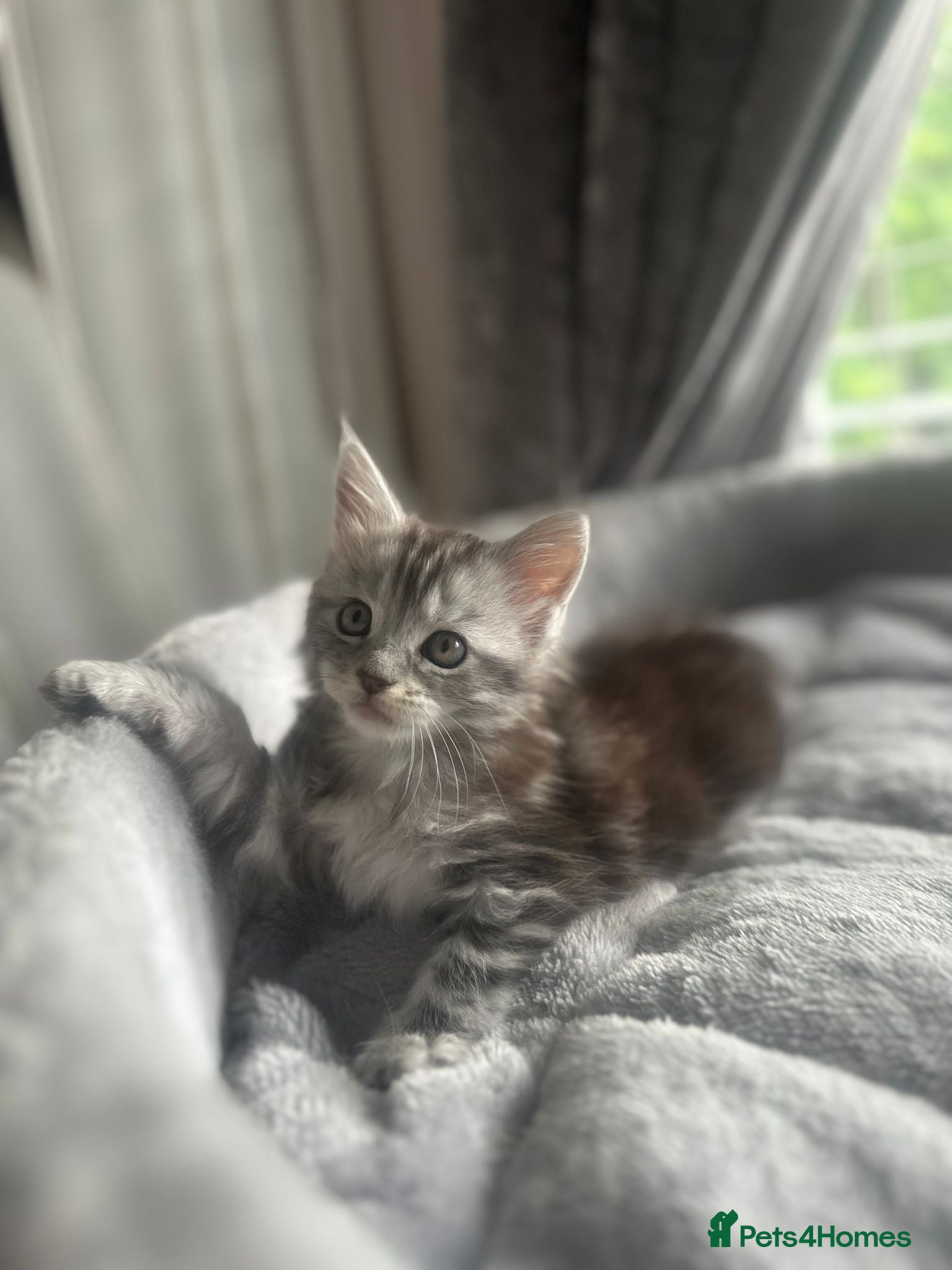 Nala