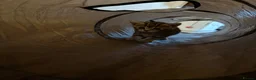 Bengal cats for sale: 3 gorgeous kittens for sale  in Southampton - Advert 2