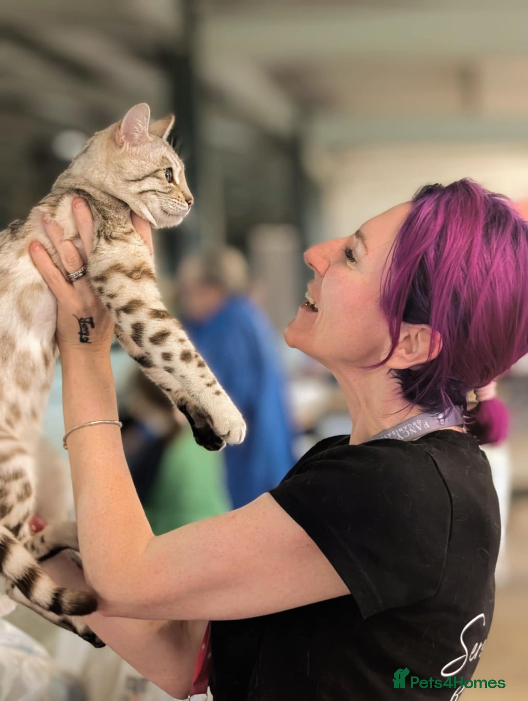 Bengal cats for sale: 🏆OUTSTANDING SHOW WINNING BENGALS KITTENS🔥 - Image 35