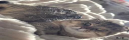 Scottish Fold cats for sale: Adorable Scottish Fold and Straight kittens 💙💜  - Advert 15