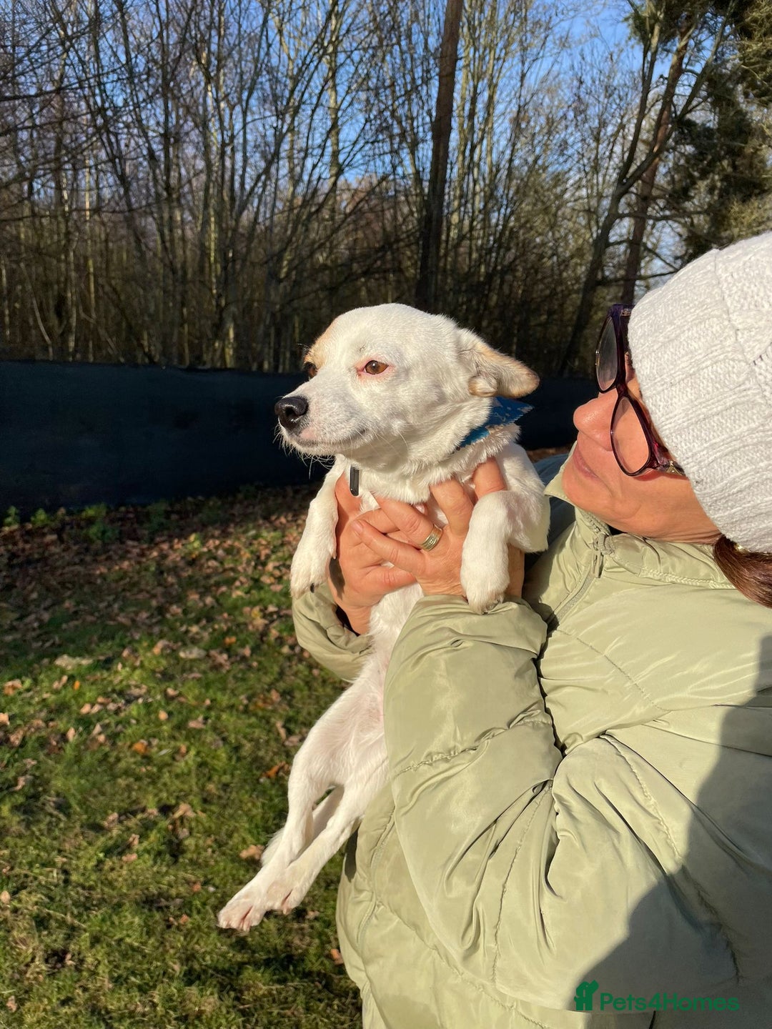 Mixed Breed dogs for adoption: RONNA - a beautiful tiny girl, for a Loving Home - Advert 19