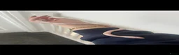 Corn Snake reptiles for sale: Female corn snake  - Advert 1