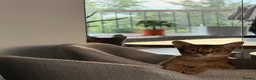 Abyssinian cats for sale: Beautiful & Playful Aby x Savannah Female in London - Advert 9