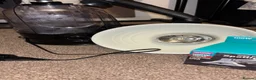 Frog reptiles for sale: vivarium accessories  in Preston - Advert 1