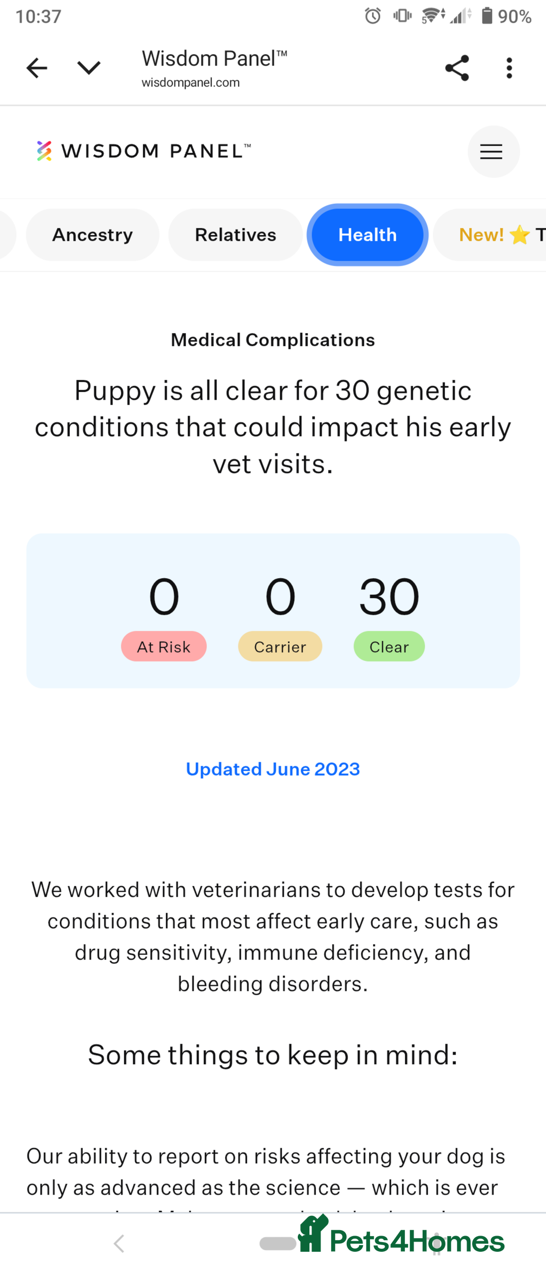 Sheepadoodle dogs for sale: Sheepadoodle Puppy 6 - *READY SOON* F1 health tested sheepadoodles  - Image 29