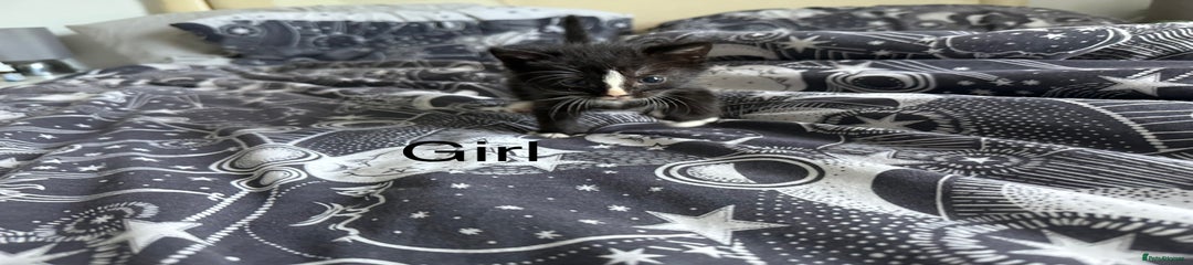 Little lady 