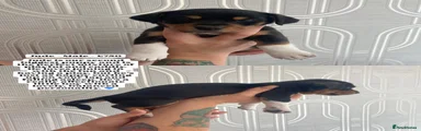 Jude 