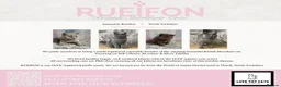 British Shorthair cats for sale: GCCF REGISTERED Last blue gorgeous girl available  - Advert 1