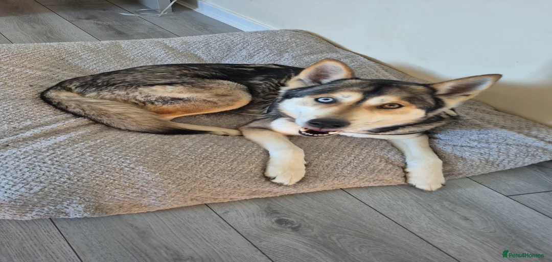 Gallery Image {{count}}