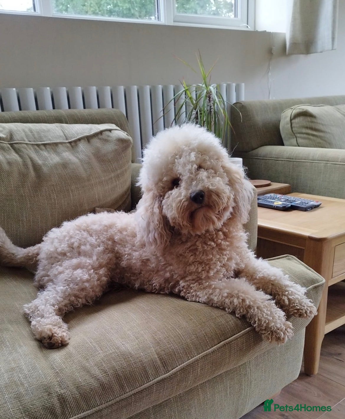 Stanley