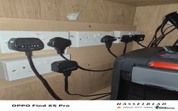 Cichlids fish for sale: Professional tropical aquarium set up - Image 19