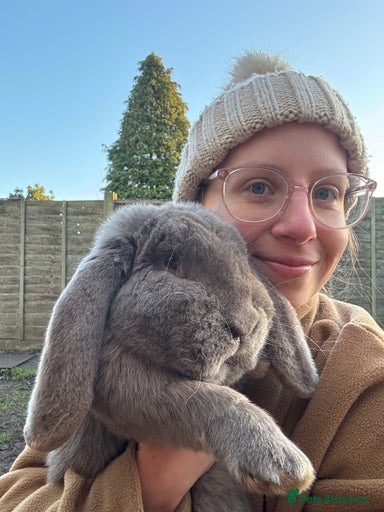 Gallery Image {{count}}