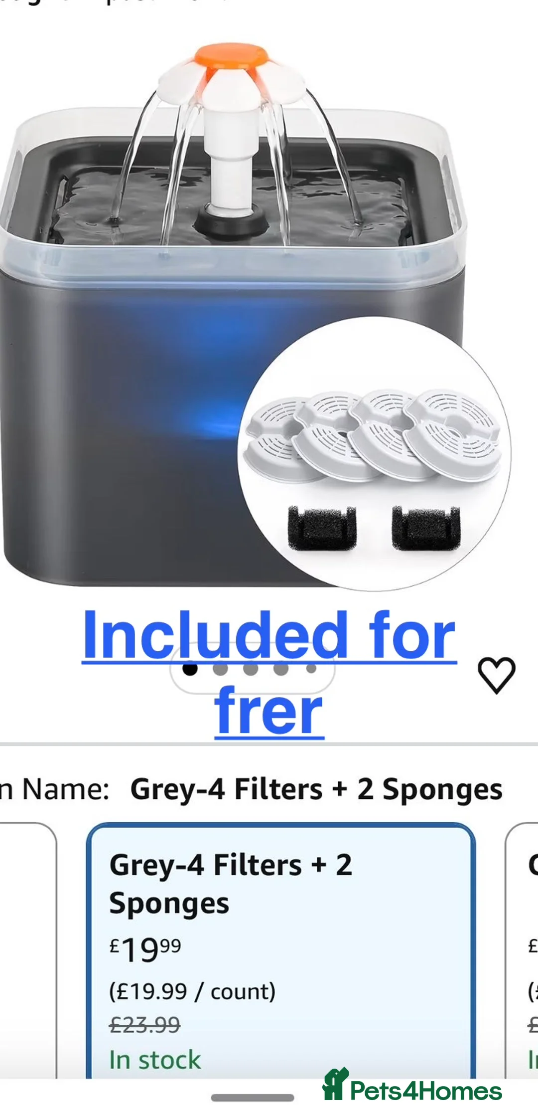 Ragdoll cats for sale: White Female Ragdoll for sale - Advert 21