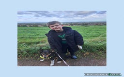 Mixed Breed dogs for sale: NALA,  **  - Image 3