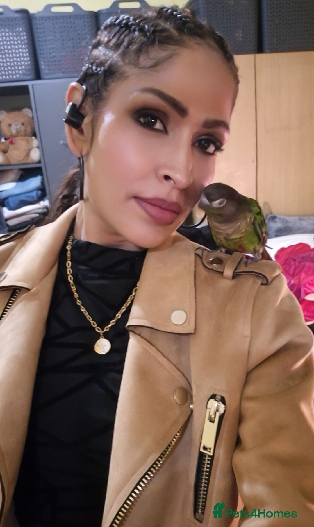 Conures birds for sale: Tame male conure 9 months old  - Advert 2