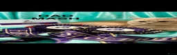 British Shorthair cats for sale: Registered Pedigree British Shorthair & Longhair  in Stafford - Advert 33