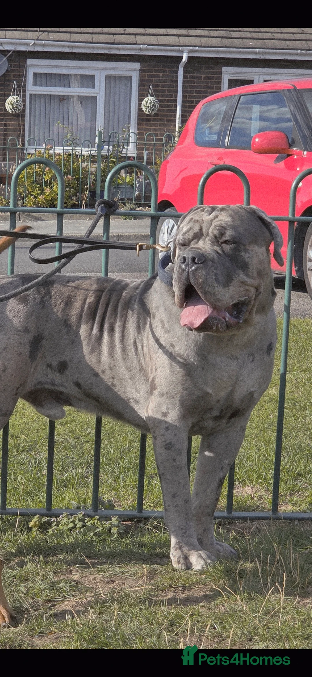 Gallery Image {{count}}