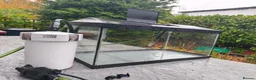 Other/Mixed Breed fish for sale: 50L Aquarium, With 400L/H Ext. Filter +accessories - Advert 2