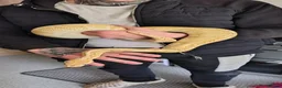 Python Snake reptiles for sale: Banana Ghi ball python  - Advert 8