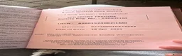 Shetland pony horses for sale: Shetland ponies - Advert 4