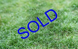 Cocker Spaniel dogs for sale: READY TO GO 4 KC working cocker spaniel puppies - Image 7