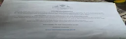 Chihuahua dogs for sale: Chihuahua gril 8moths old - Advert 3