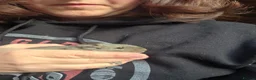Degus rodents for sale: Baby degus  - Advert 1