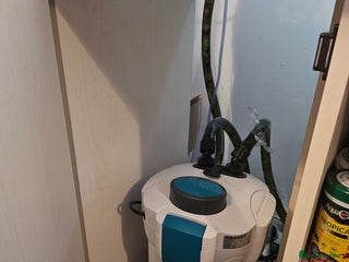 Shrimps fish Fishtank+accesories in Huntingdon - Advert 1