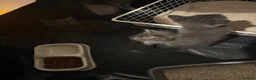 Korat cats for sale: Kittens - Advert 24