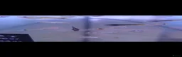 Live Bearers fish for sale: Mixed Snakeskin Guppys x20 - Advert 4