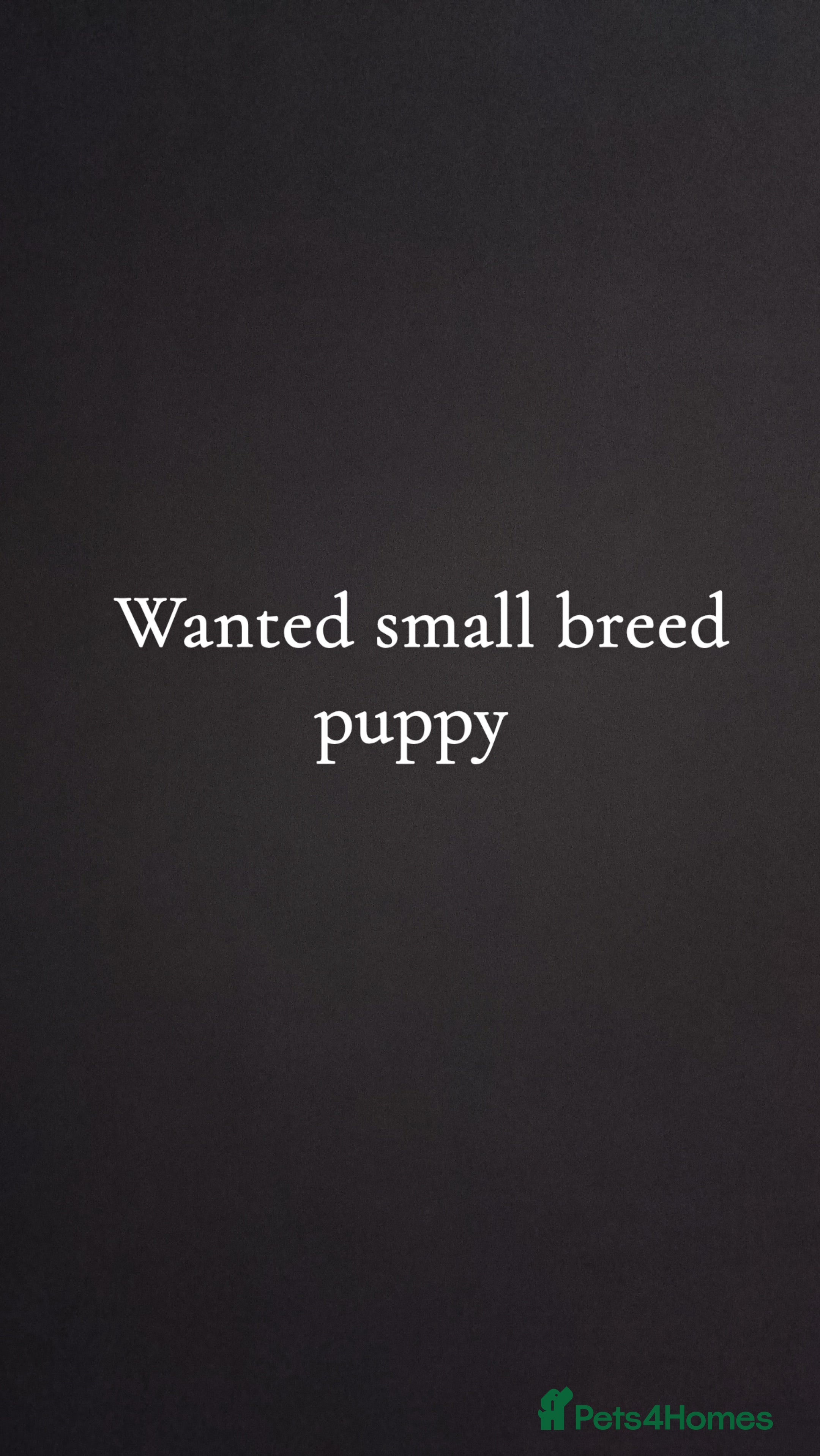 Mixed Breed dogs Puppy needing new home - Advert 11