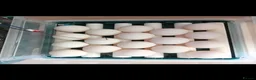 Ducks poultry for sale: 6 fertilized pekin duck eggs for sale in South Ockendon - Advert 2