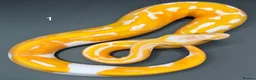 Python Snake reptiles for sale: Dreamsicle ball/royal python hatchlings  - Advert 4